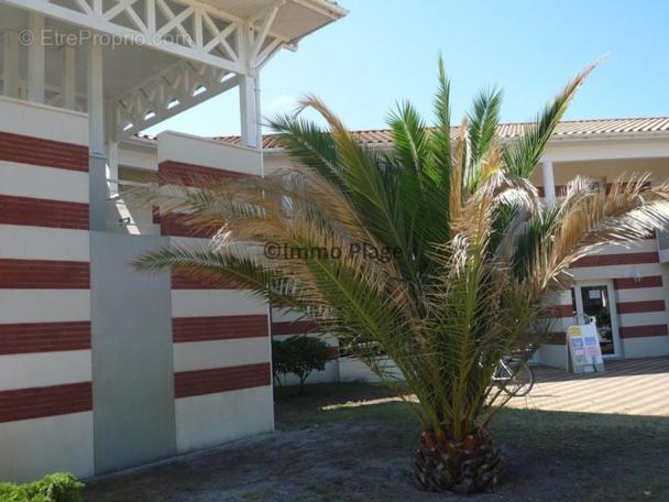 Soulac-Sur-Mer Avec Piscine Bagian luar foto